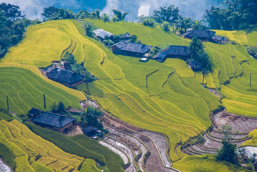 Best time to visit ha Giang rice terraces
